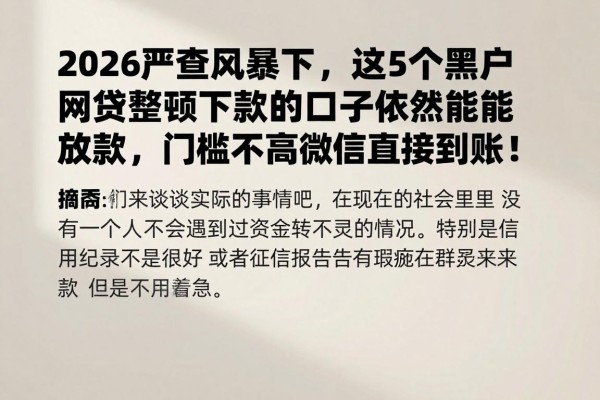 2026严查风暴下，这5个黑户网贷整顿下款的口子依然能放款，门槛不高微信直接到账！