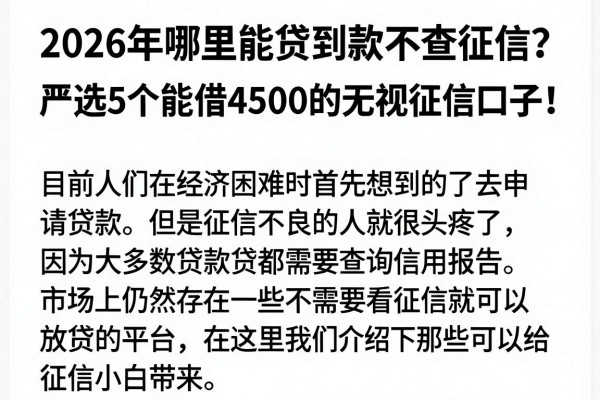2026年哪里能贷到款不查征信？严选5个能借4500的无视征信口子！