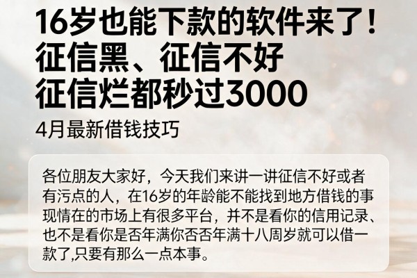 16岁也能下款的软件来了！征信黑、征信不好、征信烂都秒过3000，4月最新借钱技巧