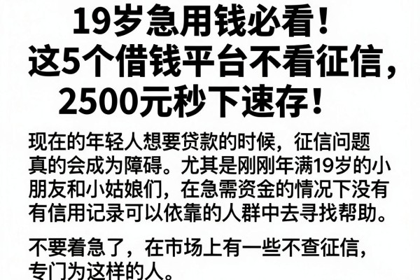 19岁急用钱必看！这5个借钱平台不看征信，2500元秒下速存