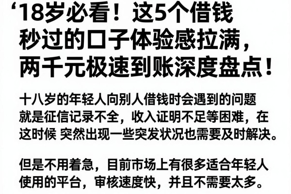 18岁必看!这5个借钱秒过的口子体验感拉满,两千元极速到账深度盘点