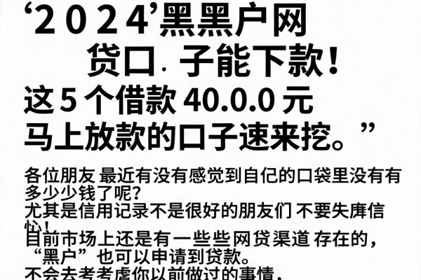 2024黑户网贷口子能下款!这5个借款4000元马上放款的口子速来挖