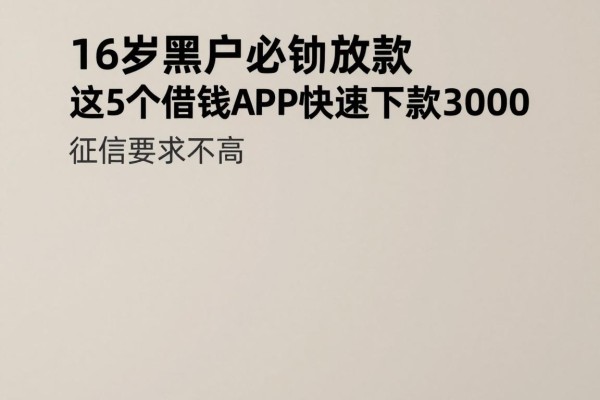 16岁黑户必看!凭身份证1分钟放款,这5个借钱APP快速下款3000,征信要求不高