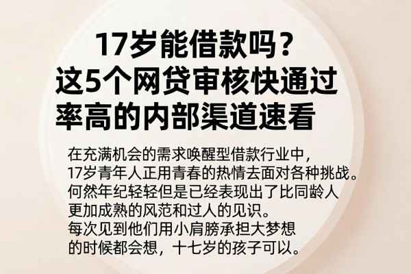 17岁能借款吗？这5个网贷审核快通过率高的内部渠道速看
