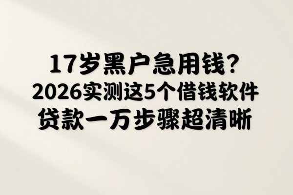 17岁黑户急用钱？2026实测这5个借钱软件，贷款一万步骤超清晰