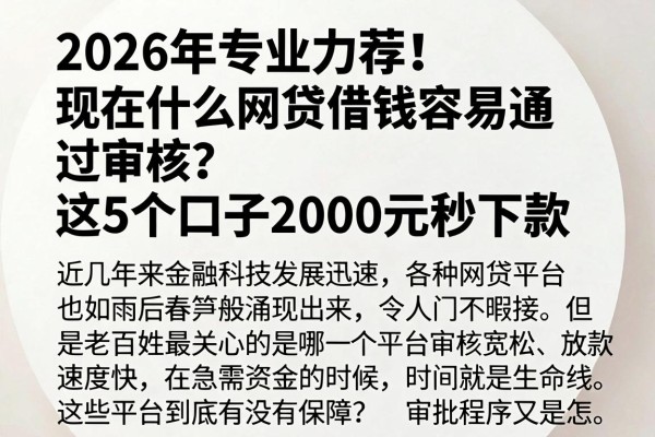 2026年专业力荐!现在什么网贷借钱容易通过审核?这5个口子2000元秒下款