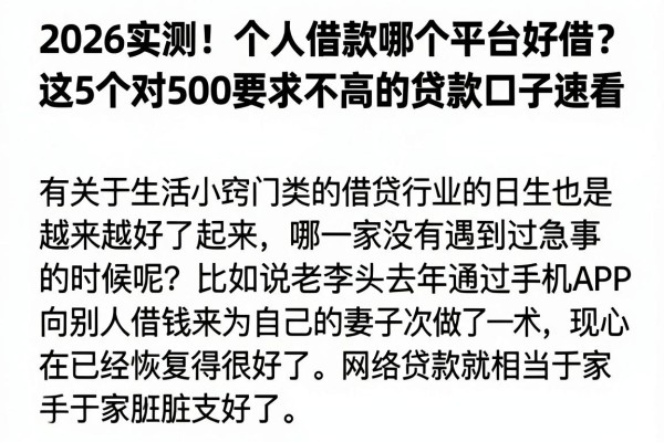 2026实测！个人借款哪个平台好借？这5个对500要求不高的贷款口子速看