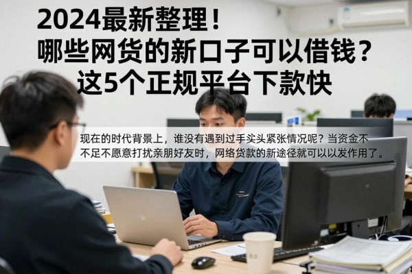 2024最新整理!哪些网贷新口子可以借钱?这5个正规平台下款快