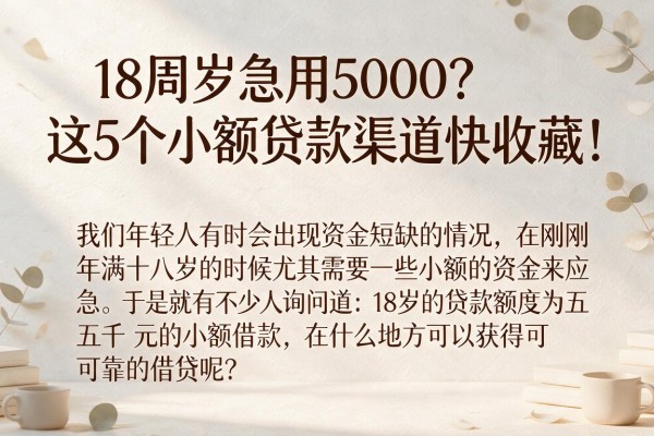 18周岁急用5000？这5个小额贷款渠道快收藏！