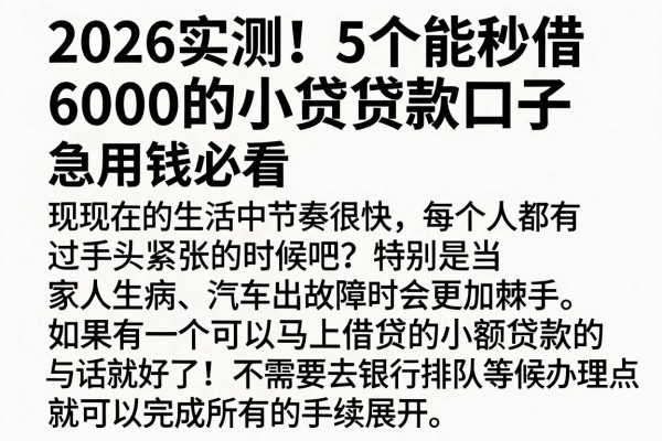 2026实测!5个能秒借6000的小贷贷款口子,急用钱必看