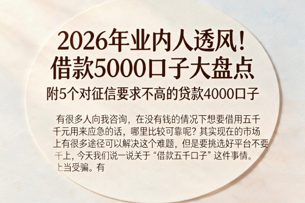 2026年业内人透风！借款5000口子大盘点，附5个对征信要求不高的贷款4000口子