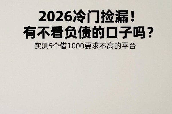 2026冷门捡漏！有不看负债的口子吗？实测5个借1000要求不高的平台