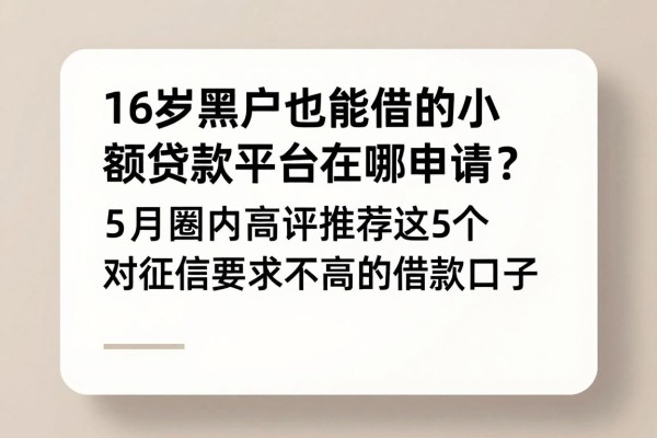 16岁黑户也能借的小额贷款平台在哪申请?5月圈内高评推荐这5个对征信要求不高的借款口子