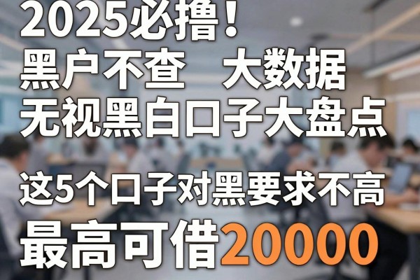 2025必撸！黑户不查大数据无视黑白口子大盘点，这5个口子对黑白要求不高，最高可借20000！