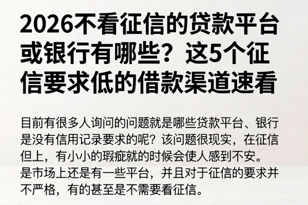 2026不看征信的贷款平台或银行有哪些?这5个征信要求低的借款渠道速看