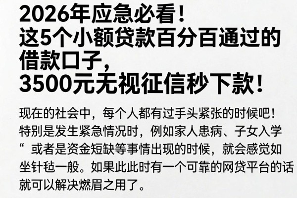 2026年应急必看!这5个小额贷款百分百通过的借款口子,3500元无视征信秒下款