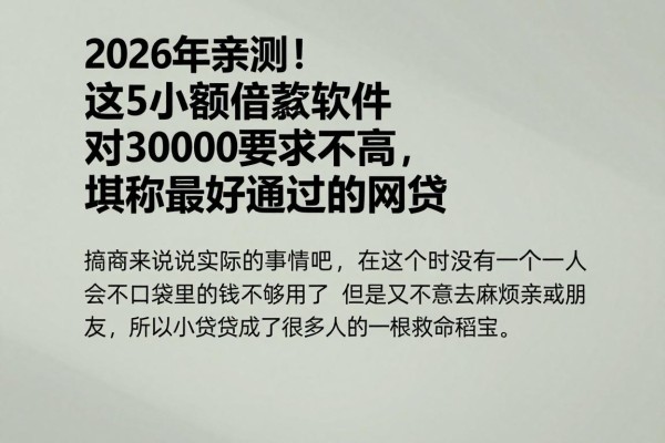 2026年亲测！这5个小额借款软件对30000要求不高，堪称最好通过的网贷