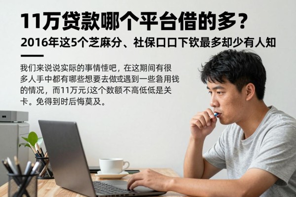 11万贷款哪个平台借的多?2026年这5个芝麻分、社保口子下款最多却少有人知