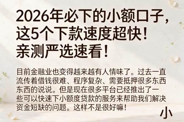 2026年必下的小额口子，这5个下款速度超快！亲测严选速看！