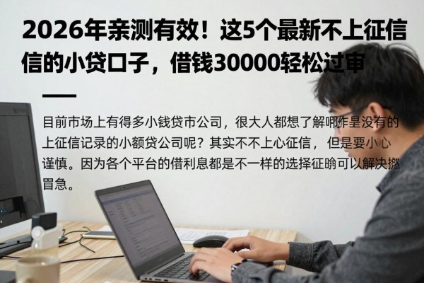2026年亲测有效!这5个最新不上征信的小贷口子,借钱30000轻松过审