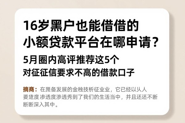 16岁黑户也能借的小额贷款平台在哪申请?5月圈内高评推荐这5个对征信要求不高的借款口子