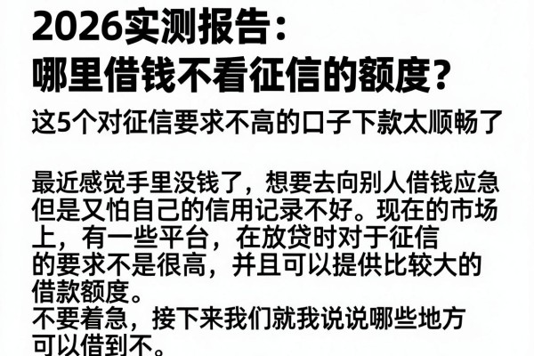 2026实测报告:哪里借钱不看征信的额度?这5个对征信要求不高的口子下款太顺畅了