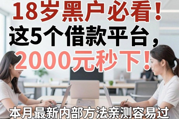 18岁黑户必看!这5个借款平台2000元秒下,本月最新内部方法亲测容易过!