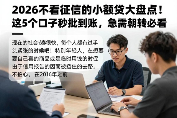 2026不看征信的小额贷大盘点！这5个口子秒批到账，急需周转必看