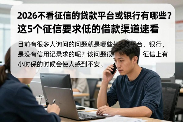 2026不看征信的贷款平台或银行有哪些?这5个征信要求低的借款渠道速看