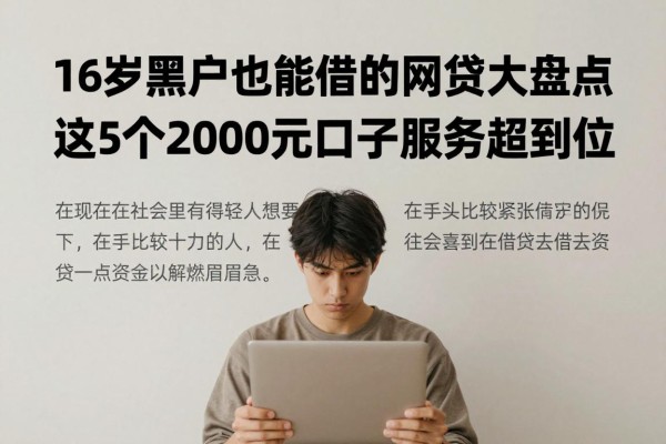 16岁黑户也能借钱的网贷大盘点!这5个2000元口子服务超到位