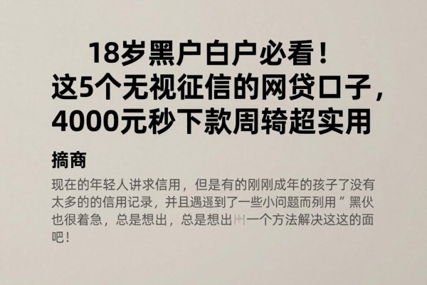 18岁黑户白户必看！这5个无视征信的网贷口子，4000元秒下款周转超实用