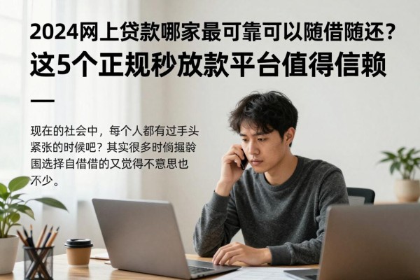 2024网上贷款哪家最可靠可以随借随还？这5个正规秒放款平台值得信赖