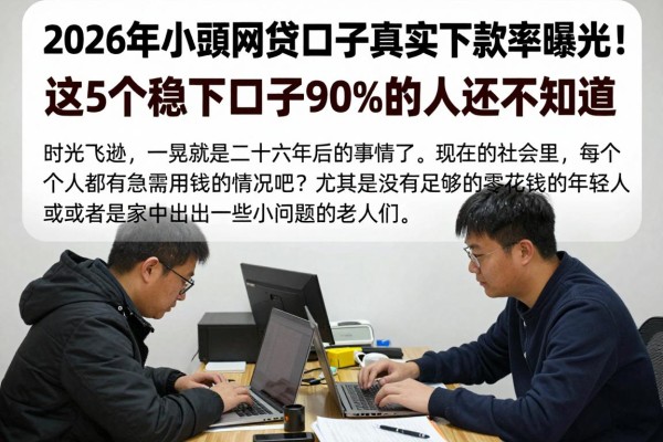 2026年小额网贷口子真实下款率曝光！这5个稳下口子90%的人还不知道