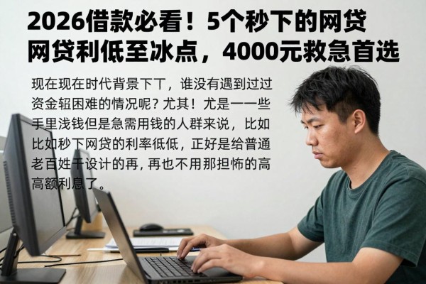 2026借款必看！5个秒下的网贷利息低至冰点，4000元应急首选