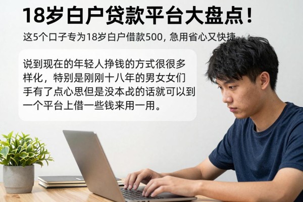 18岁白户贷款平台大盘点!这5个口子专为18岁白户借款5000,急用省心又快捷