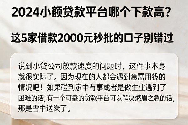2024小额贷款平台哪个下款高？这5家借款2000元秒批的口子别错过