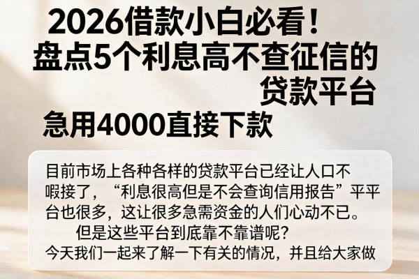 2026借款小白必看！盘点5个利息高不查征信的贷款平台，急用4000直接下款