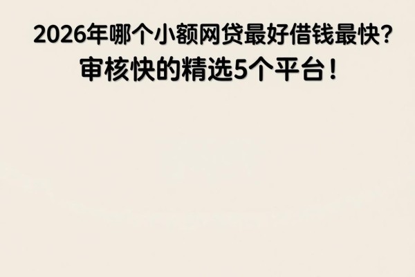 2026年哪个小额网贷最好借钱最快?审核快的精选5个平台!