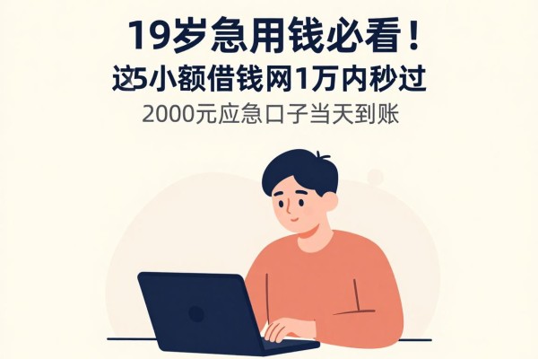 19岁急用钱必看!这5个小额借钱网1万内秒过,2000元应急口子当天到账