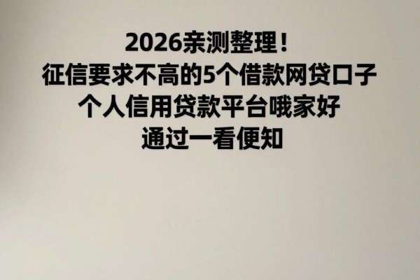 2026亲测整理！征信要求不高的5个借款网贷口子，个人信用贷款平台哪家好通过一看便知