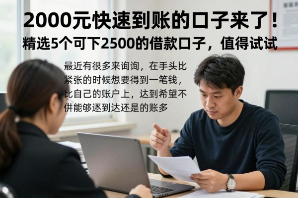 2000元快速到账的口子来了！精选5个可下2500的借款口子，值得试试