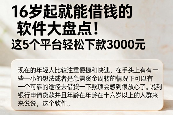 16岁起就能借钱的软件大盘点!这5个平台轻松下款3000元