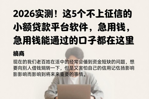 2026实测!这5个不上征信的小额贷款平台软件,急用钱能通过的口子都在这里