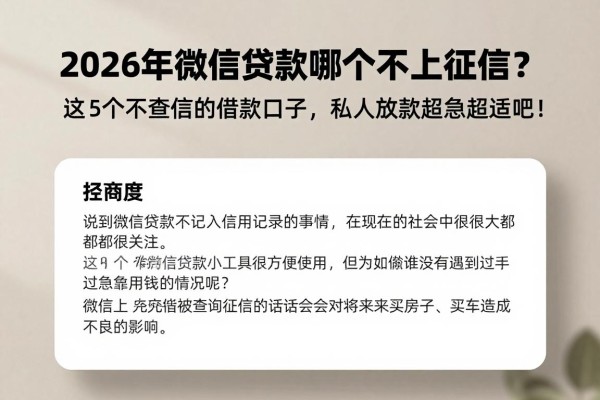2026年微信贷款哪个不上征信？这5个不查征信的借款口子，私人放款应急超适配！