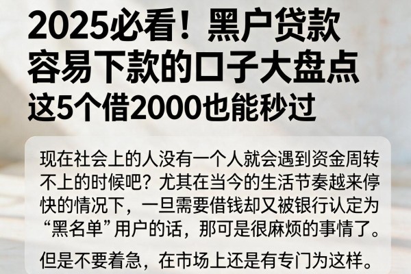 2025必看!黑户贷款容易下款的口子大盘点,这5个借2000也能秒过