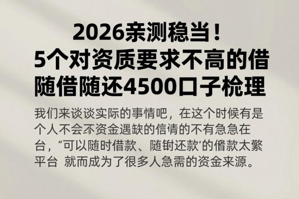 2026亲测稳当！5个对资质要求不高的借钱随借随还的平台，随借随还4500口子梳理