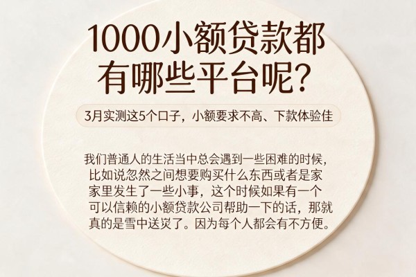 1000小额贷款都有哪些平台呢？3月实测这5个口子，小额要求不高、下款体验佳
