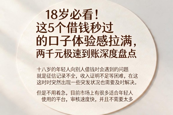 18岁必看!这5个借钱秒过的口子体验感拉满,两千元极速到账深度盘点