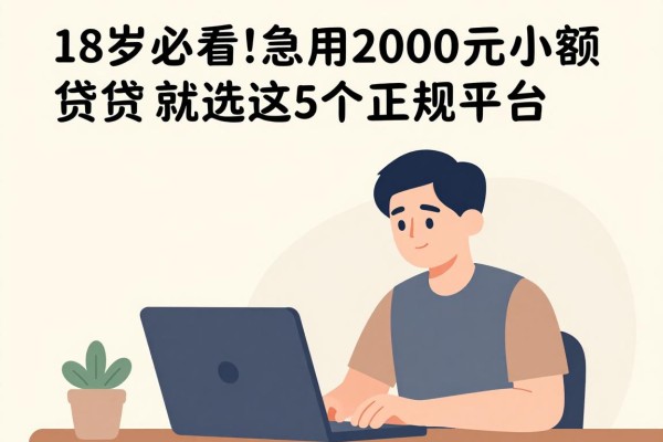 18岁必看！急用2000元小额度贷款就选这5个正规平台，不看负债不看征信
