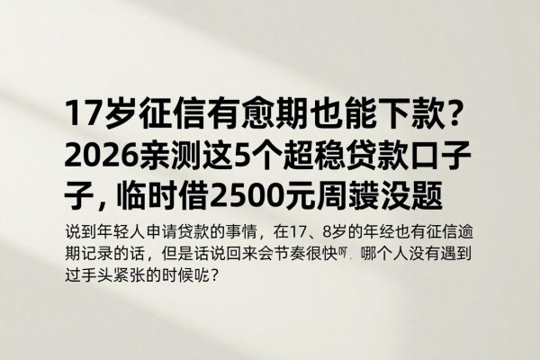 17岁征信有逾期也能下款?2026亲测这5个超稳贷款口子,临时借2500元周转没问题
